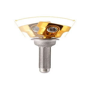 ICARA®  Radial Head System