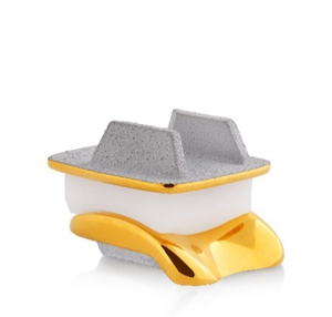 TARIC® Total Ankle System